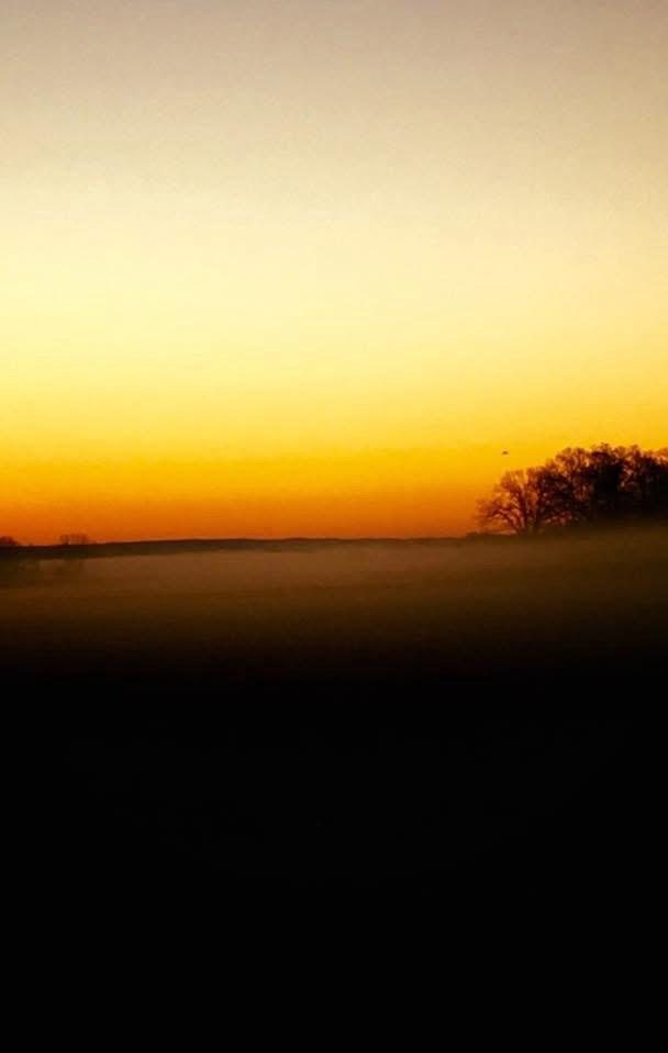 Meadow at dusk under an orange sky