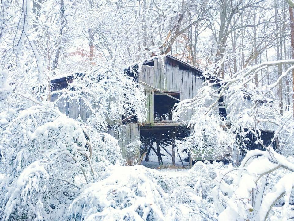 Small outbuilding in a snowy wooded landscape