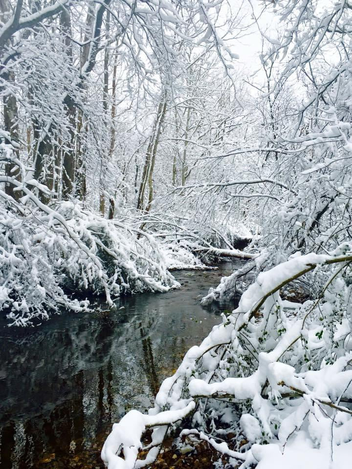 Quiet creek in wintry weather