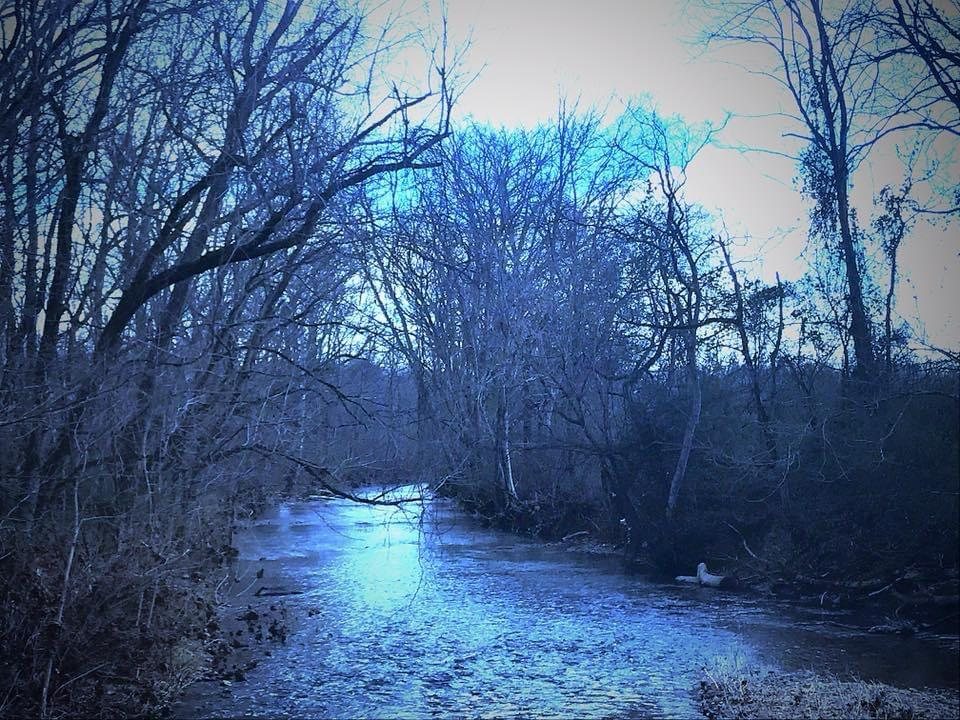Cold water between leafless winter trees