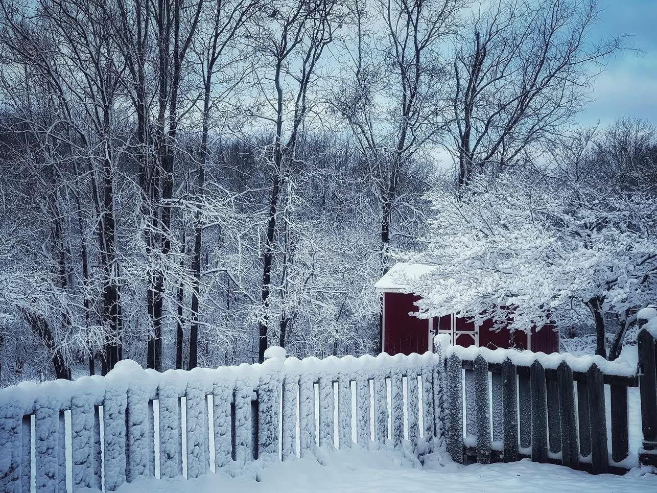 White fence and small red building after snow
